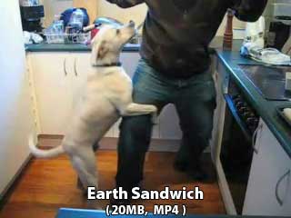 Morgan's Earth Sandwich