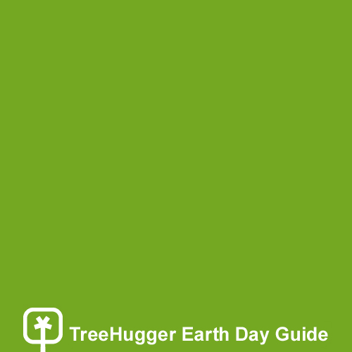Treehugger Earth Day 2007