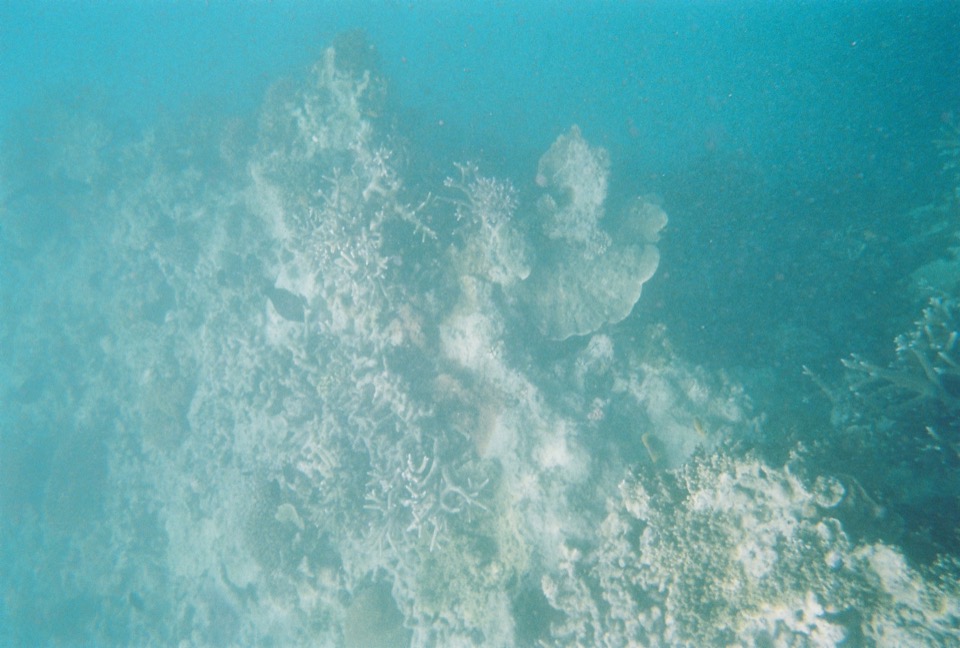 Duncan-Rawlinson-Photo-Great-Barrier-Reef-Queensland-Australia-20110411-A001222-R1-01-24A