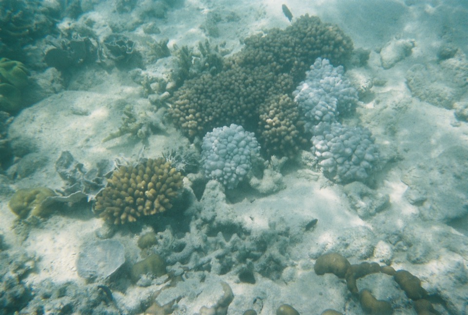 Duncan-Rawlinson-Photo-Great-Barrier-Reef-Queensland-Australia-20110411-A001222-R1-10-15A
