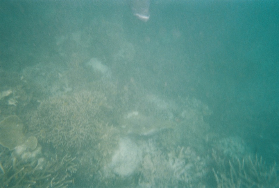 Duncan-Rawlinson-Photo-Great-Barrier-Reef-Queensland-Australia-20110411-A001222-R1-22-3A