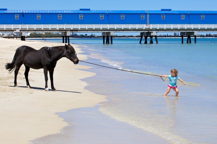 Girl Pulling a Horse Into Water