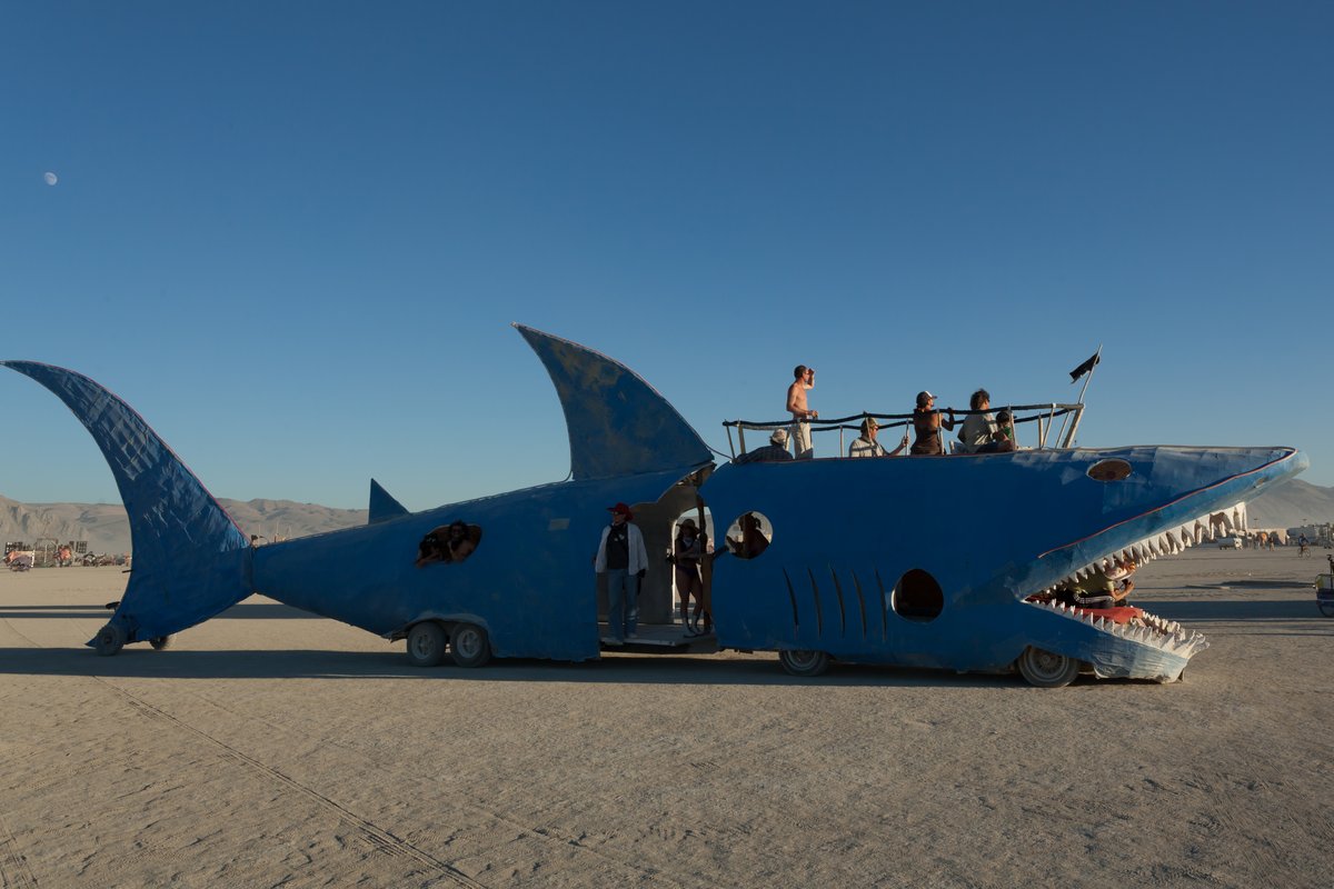 Art car shark.
