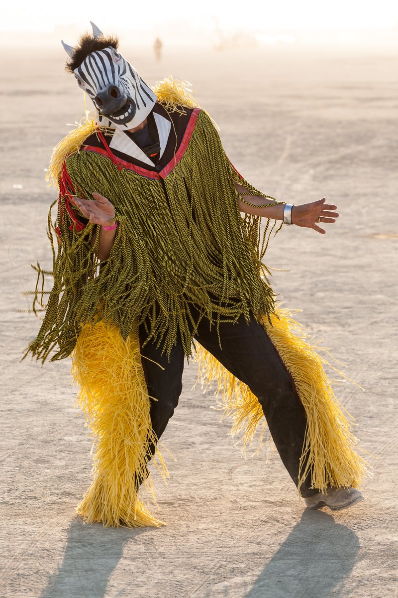 Dancing Zebra costume burner. (I wonder who these masked folks are? CEOs? Celebs???)
