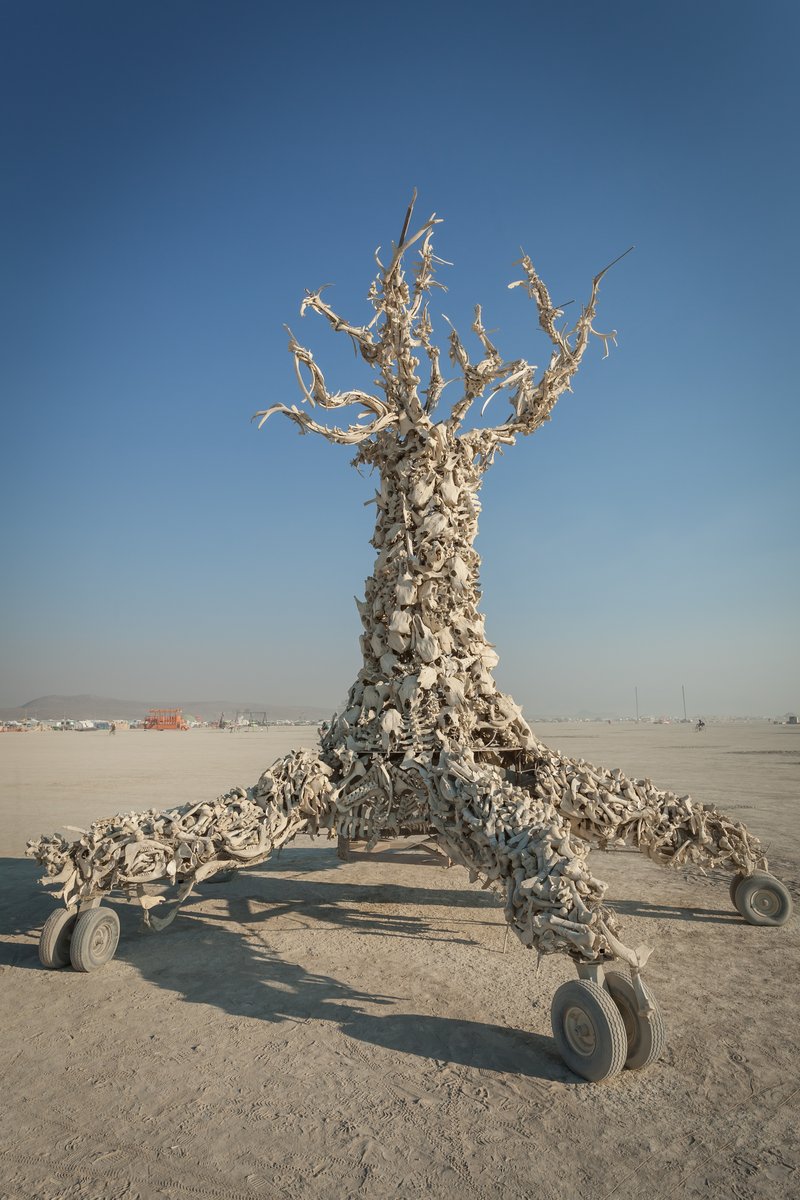Playa Art made from bones.
