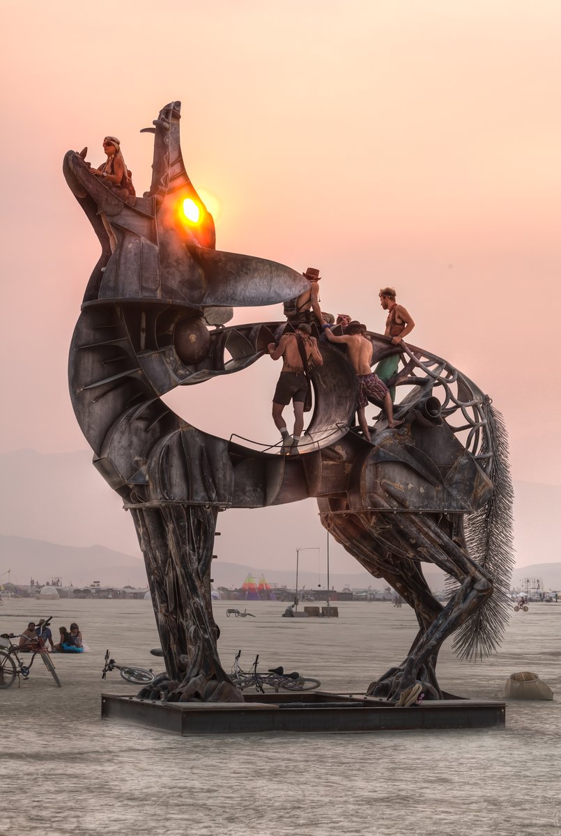 The Epic Coyote (created by Bryan Tedrick)