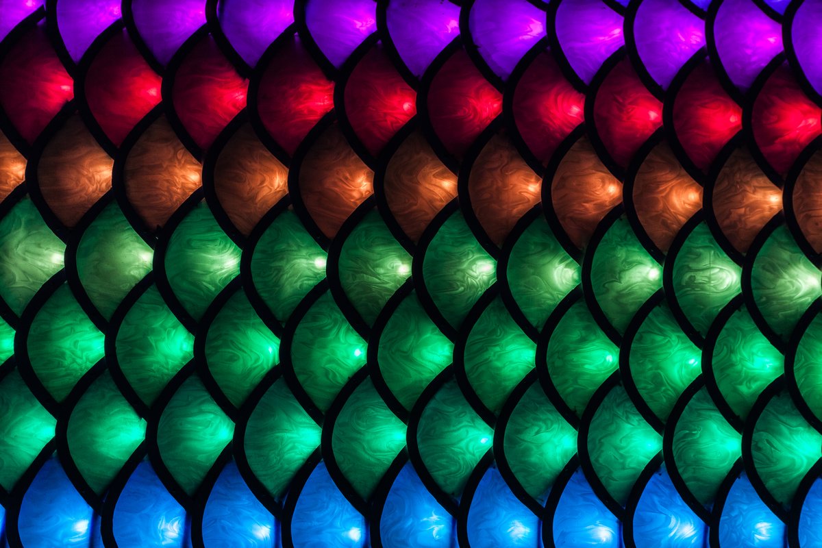 Discofish Art Car Scales Up Close