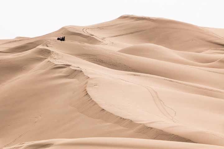 Moment Of Pause On The Dunes