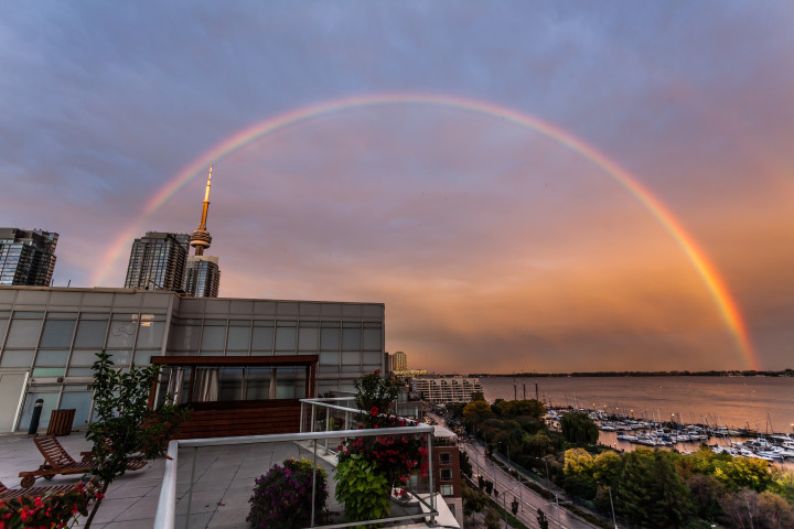 Toronto Rainbow