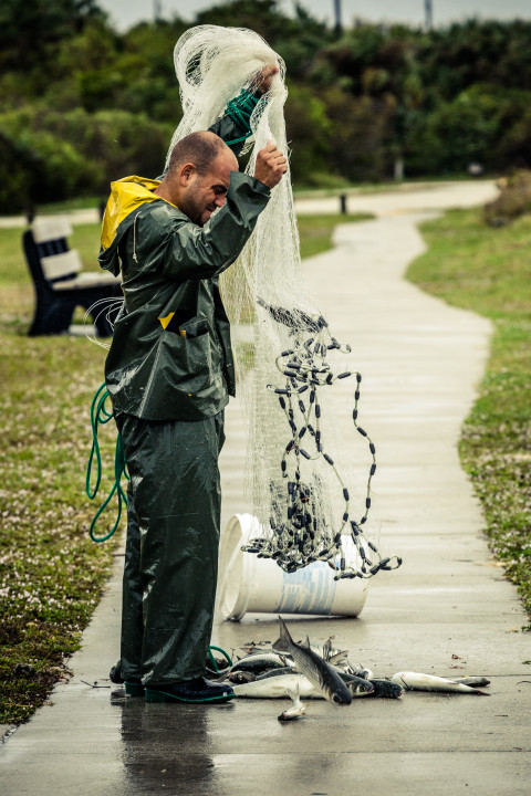 Fisherman’s Catch