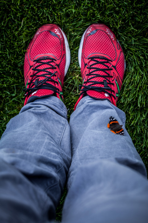 Butterfly On My Pants
