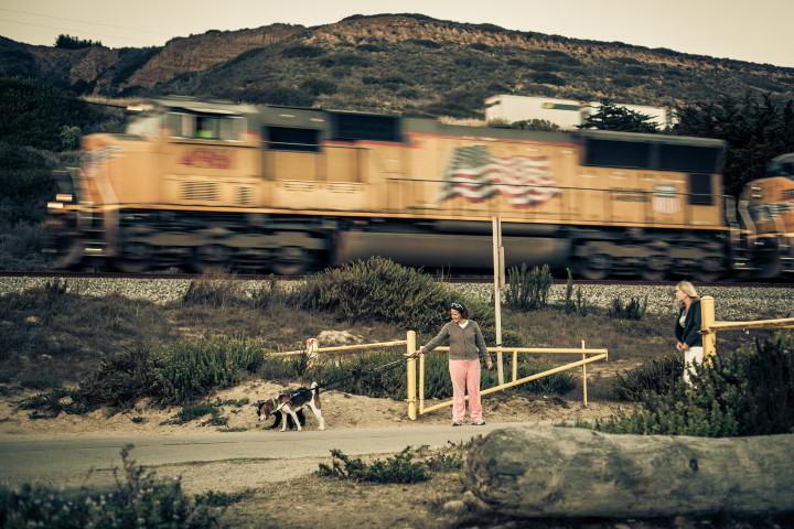 Dog Walkers and Train