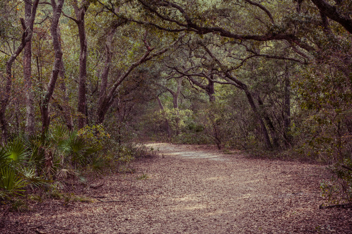 Silver Springs State Park Walking Trail