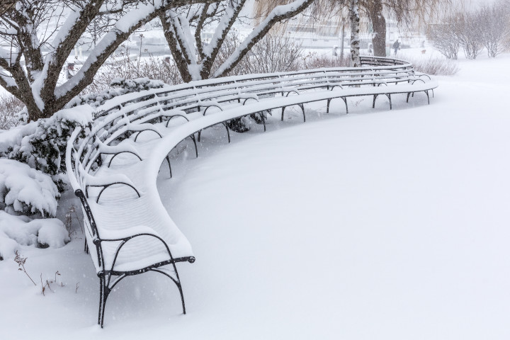 Curvy Bench In The Snow