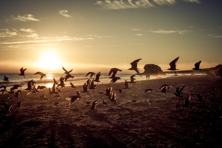 Sunset At San Simeon State Beach