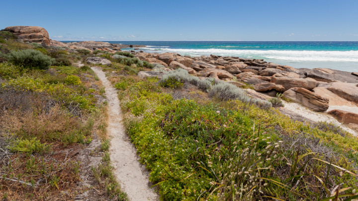 Trail At The Beach