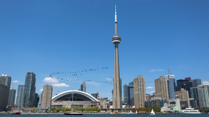Flock Of Birds And Toronto Skyline
