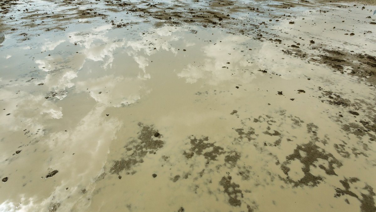 Reflection Of Sky In The Wet Playa