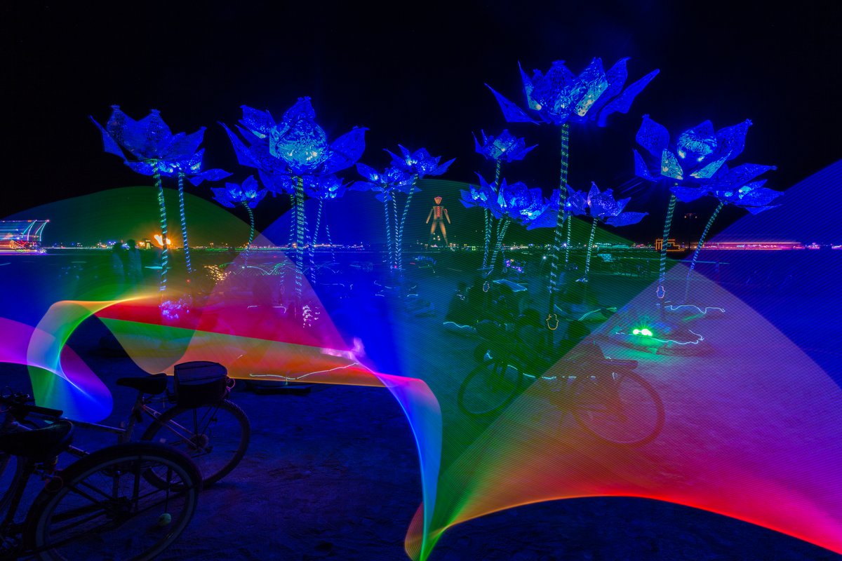 Pulse and Bloom by Shilo Shiv Suleman, Saba Ghole, Rohan Dixit | Cambridge, MA (Light Painting By Me Done In-Camera)