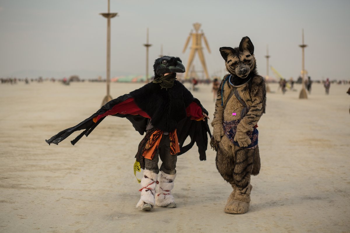 Furries On The Playa