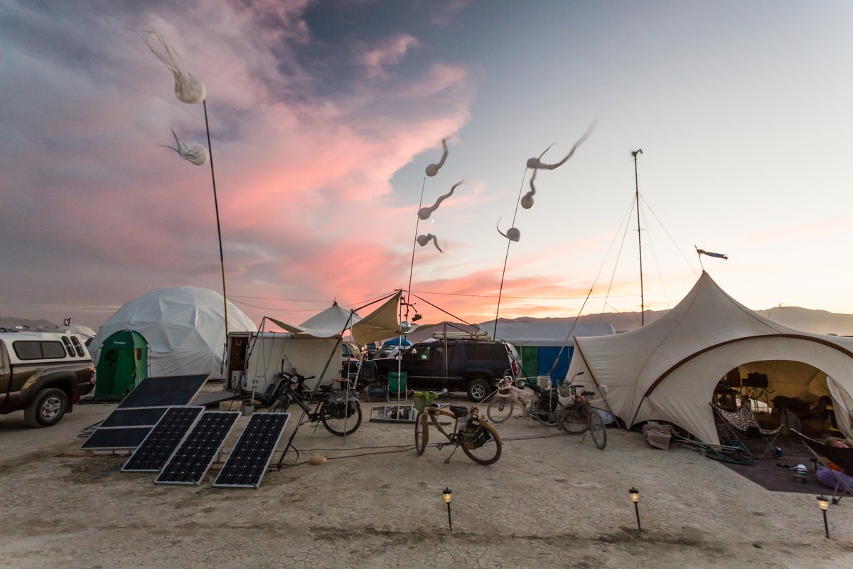 Sperm Flags At Camp Jellyfish