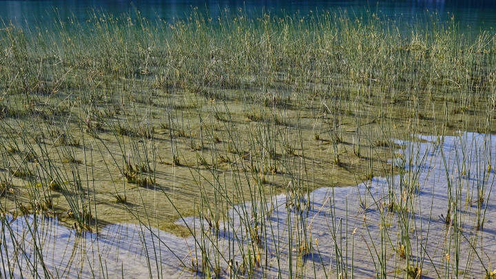 Water’s Edge At Sunrise