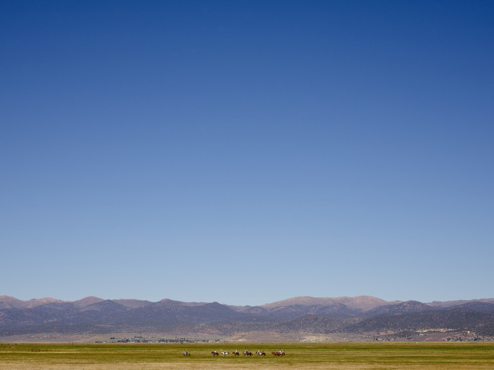 People Riding Horses In A Field