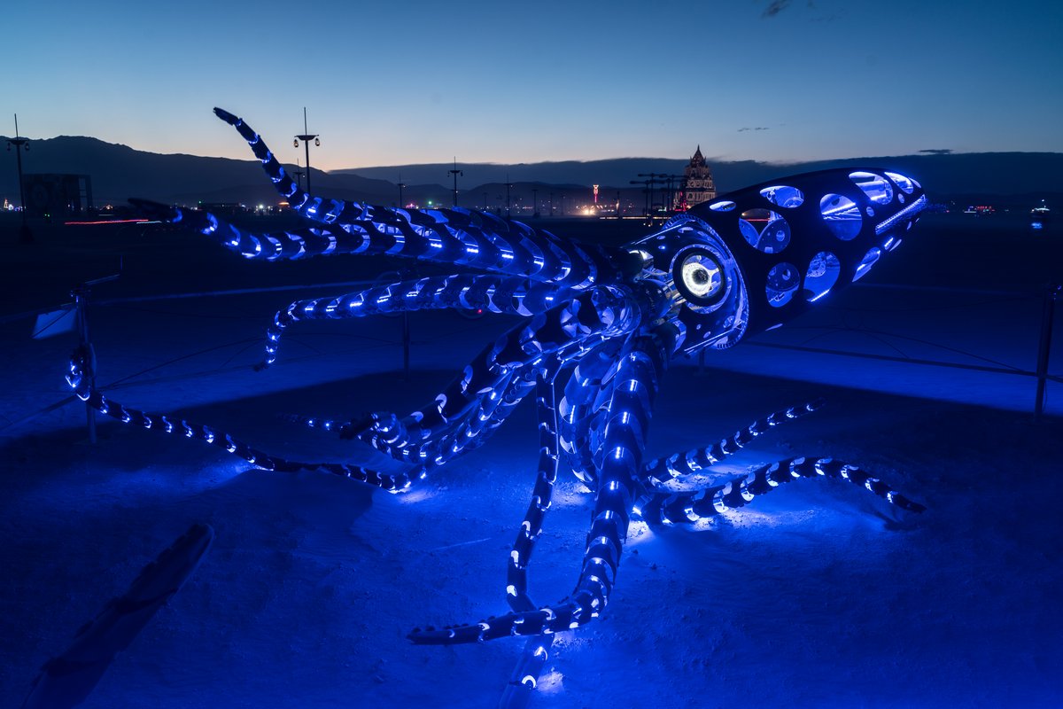 Mechateuthis Squid by Barry Crawford http://burningman.org/event/brc/2015-art-installations/#Mechateuthis