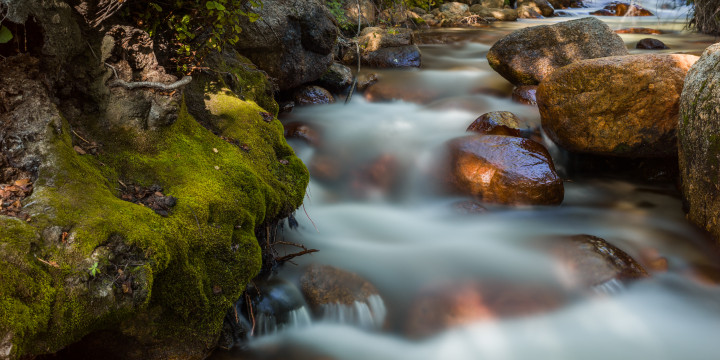 Mossy Creek