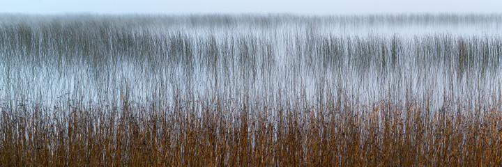 Water’s Edge At Sunrise 2