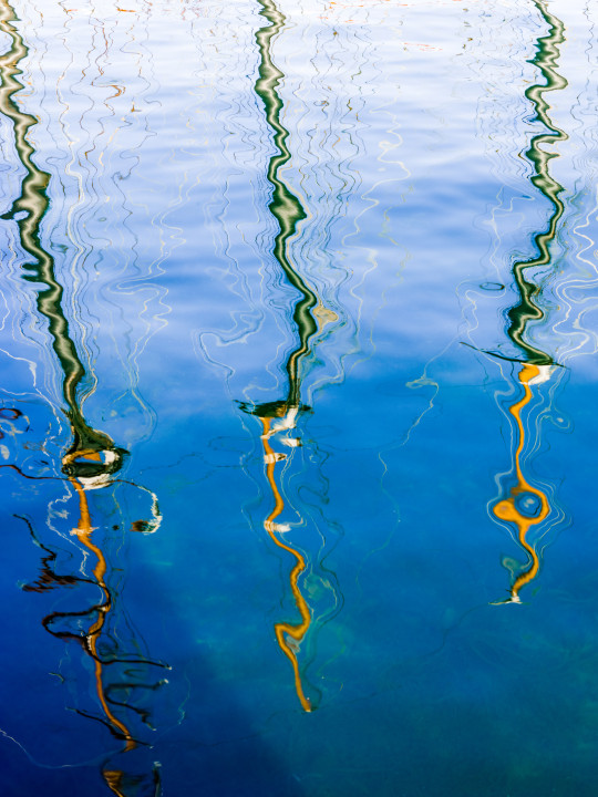 Reflection Of Masts