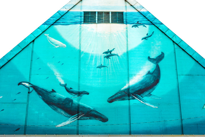 Wyland Mural