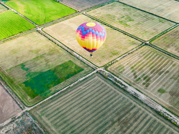 Hot Air Balloon And Field