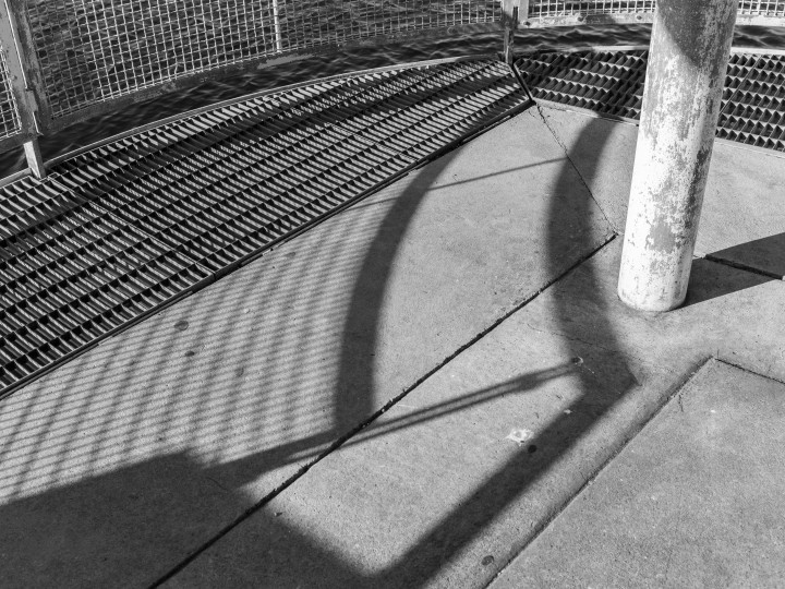 Grids And Curves