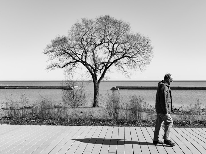 Man And Tree