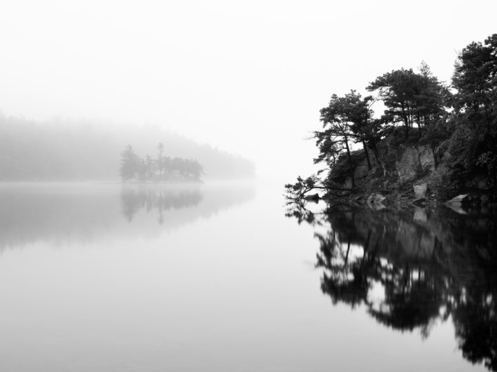 Calm River And Fog