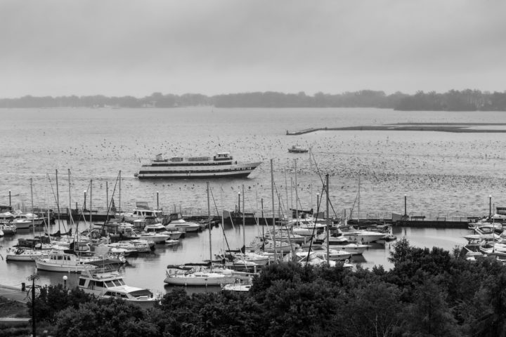 Boat And Flock Of Cormorants