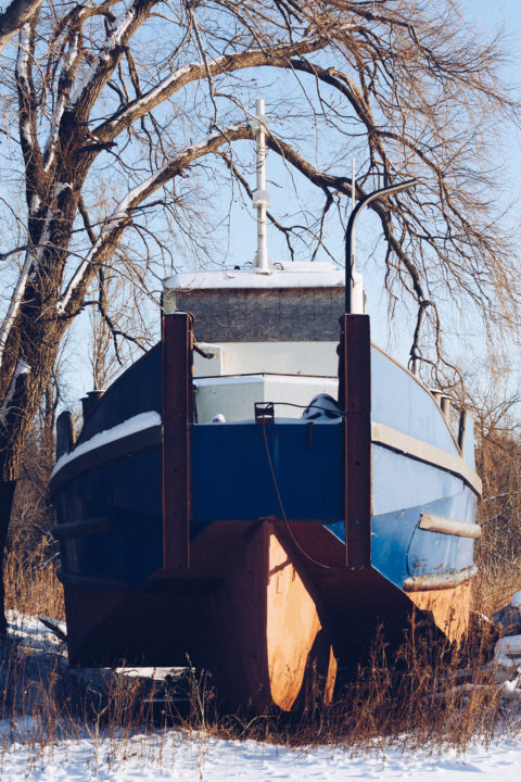 Boarded Up Boat And Tree