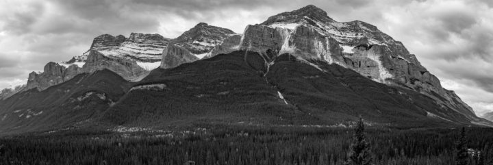 Mountain Range With Blanket Of Trees