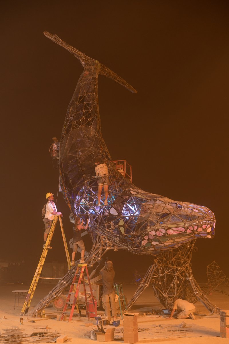 SpaceWhale Build At Night