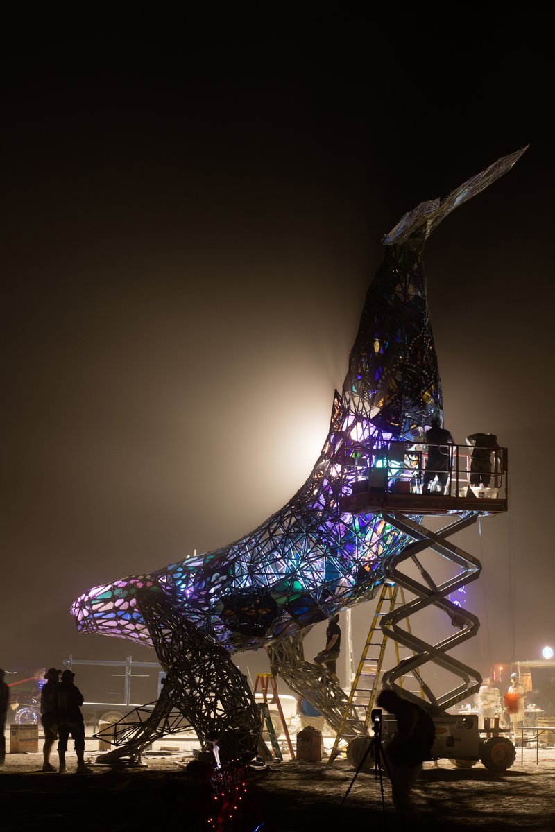 SpaceWhale Build At Night