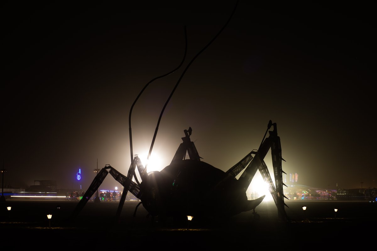 The Giant Weta by Andrew Benson, Hippathy Valentine and Auckland Burners (I think)