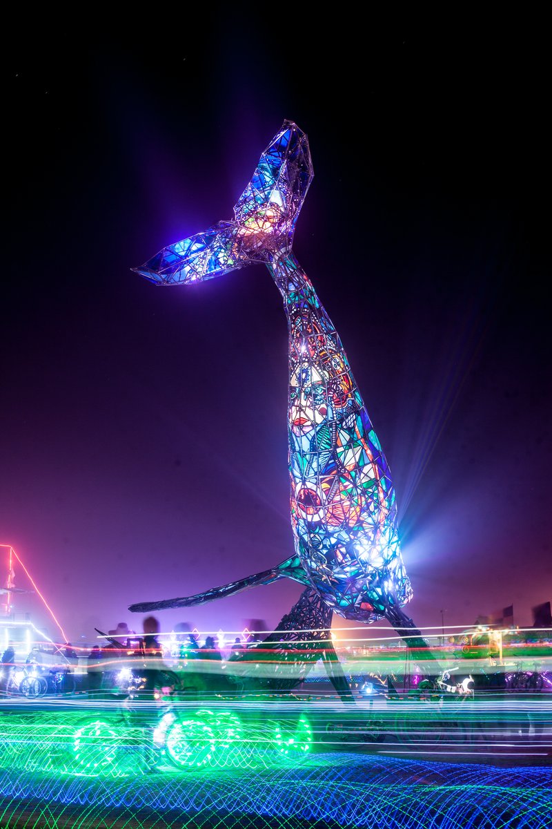 SpaceWhale Glowing At Night