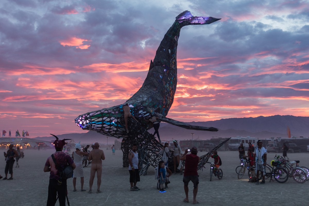 SpaceWhale Sunset