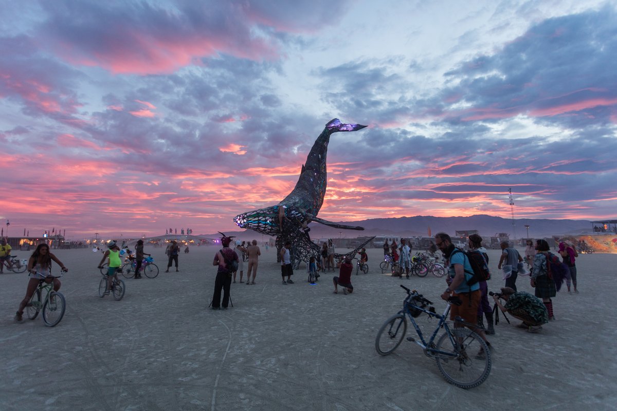 SpaceWhale Sunset