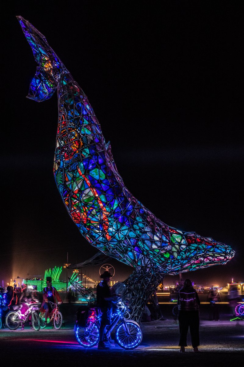 SpaceWhale