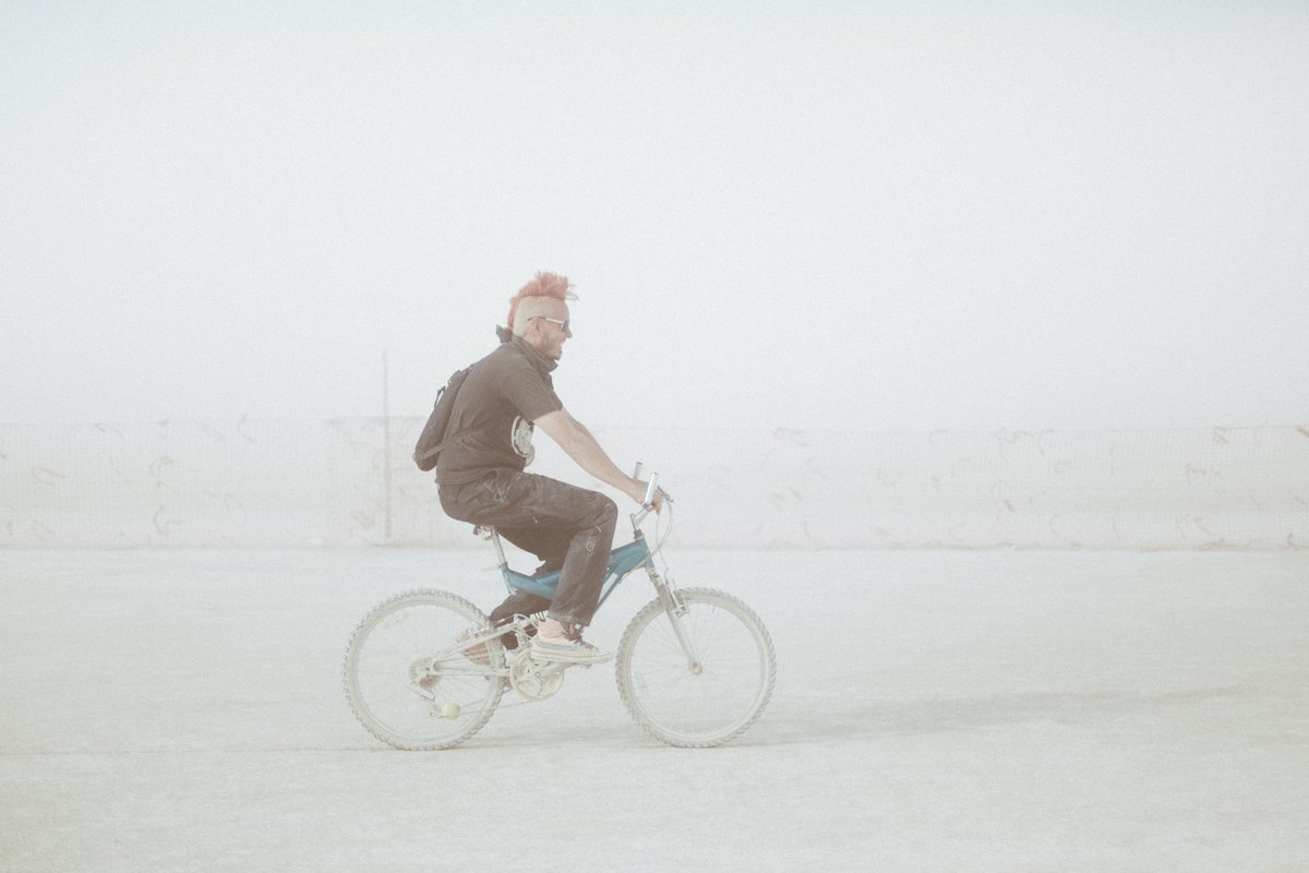 Trash Fence Cruising