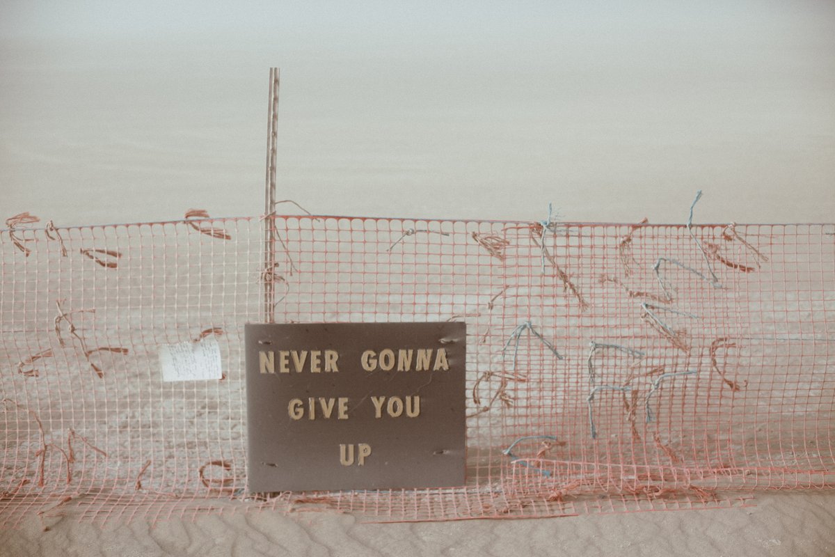 Never Gonna Give You Up at the Trash Fence