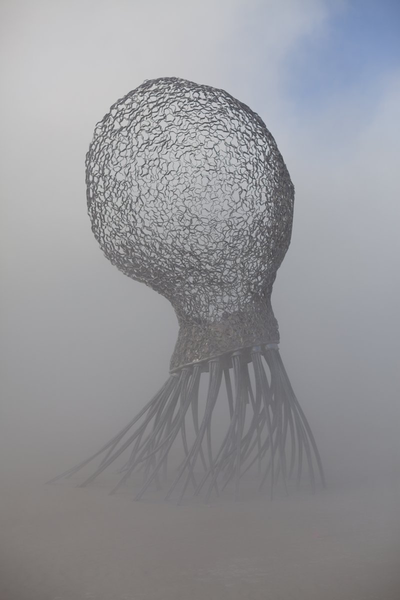 I think this is called the Oid (If you know the name of the artist please comment at the very bottom)