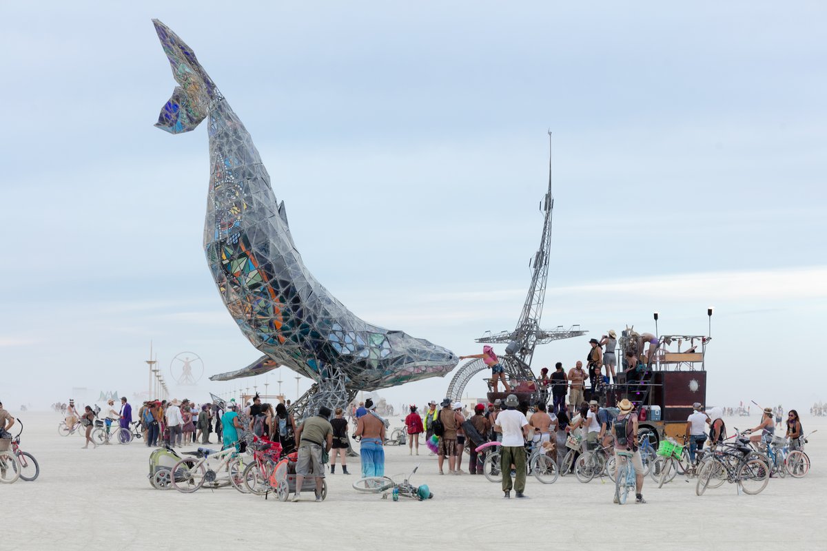 Reaching Out And Touching The SpaceWhale